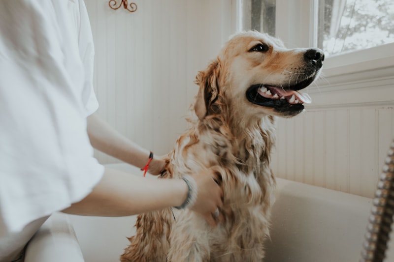 Nail trimming service